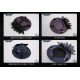 Iris De Nuit Rose Cemetery Capes Blouses Cardigan JSKs and OP(Reservation/Full Payment Without Shipping)